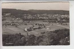 CH 5324 FULL AG, Ortsansicht, Blick Bis Zum Rhein - Zurzach
