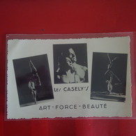 LES CASELY S ART FORCE BEAUTE - Artistes