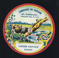 étiquette Fromage Camembert Du Sauvage 40%mg Laiterie Sauvage à Poligny Jura 39  " Vache" - Cheese