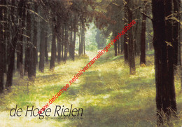 Het Bosleerpad - De Hoge Rielen - Kasterlee - Kasterlee