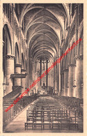 Middenbeuk Der Basiliek - Tongeren - Tongeren