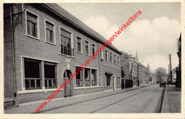 Van Haelenstraat - Hingene - Bornem