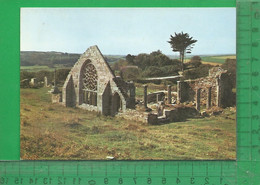 CPM  29 PONT-L'ABBE : Ruines De La Chapelle De Languivos - Pont L'Abbe