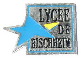 Pin's Bischheim (67) - LYCEE DE BISCHHEIM - Logo Du Lycèe - Etoile Bleue Avec Une Branche Jaune - L086 - Administrations