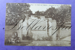 St. Paul-de Varax. Aux Morts 1914-1918 Guerre Mondiale -D01 - War Memorials