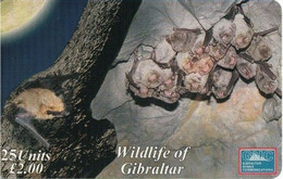 Gibraltar - GIB-C-31, Schreiber's Bat, Wildlife Of Gibraltar, 2001, 3000ex, Used` - Gibraltar
