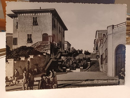 Cartolina Alghero Prov Sassari  Via Giovanni Pascoli - Sassari