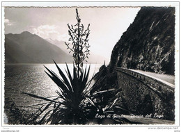 LAGO  DI  GARDA (TN):  POESIA  DEL  LAGO  -  PER  L' AUSTRIA  -  FOTO  -  FG - Invasi D'acqua & Impianti Eolici