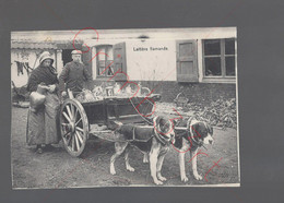 Laitière Flamande - Attelage De Chiens - Postkaart - Dogs