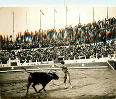 Dax * Carte Photo * Corrida Dans Les Arènes * Toréador Torero * Photographe ALBERT - Dax