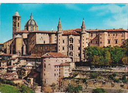 Urbino - Urbino