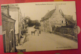 Carte Postale Mayenne 53. Meslay Du Maine. Avenue De Laval. Cheval - Meslay Du Maine