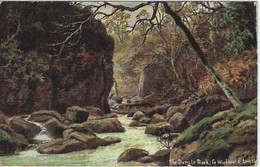 Wicklow   -   The Dargle Rock   -   1905   Naar   London - Wicklow