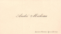 CARTE DE VISITE  André  Micheau SAINTE VERGE -DEUX SEVRES - Cartes De Visite