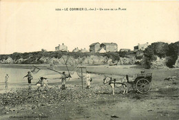 La Plaine Sur Mer * Le Cormier * Un Coin De La Plage * Attelage * Pêche à La Crevette * Haveneau - La-Plaine-sur-Mer