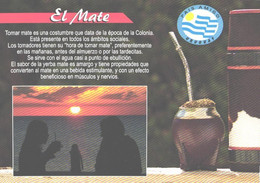 Uruguai:El Mate, Drink - Recettes (cuisine)