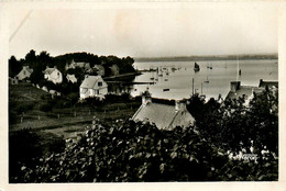 Ile Aux Moines * Vue Sur Le Port - Ile Aux Moines