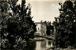 Gorges * Vue Sur Le Vieux Moulin * Minoterie * Cité De Plein Air D'angreviers * Environs De Clisson - Gorges