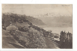 30158 - Aux Pléiades + Cachet Les Pléïades 1920 - Blonay - Saint-Légier