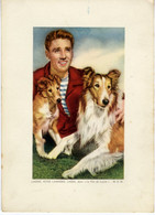 ♥️  Lassie - Laddie - Peter Lawford (Cinema, Acteurs, Actrices, Film, Movie, Movie Stars) (B-28) - Autres Formats