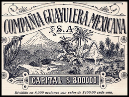 1906 Mexico: Compania Guayulera Mexicana - Sin Clasificación