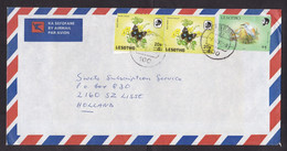 Lesotho: Airmail Cover To Netherlands, 1991, 3 Stamps, Bird, Butterfly, Rare Value Overprint (left Stamp Damaged) - Lesotho (1966-...)