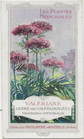 Chromo Aiguebelle 6.5 X 11 Les Plantes Médicinales - Valériane - Aiguebelle