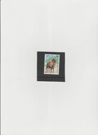 Cuba 1997 - (YT)  3611  Used  "Fauna. Animaux Du Zoo" - Oblitérés