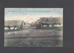 Congo-Belge - Entrée De La Ferme à Moliro (Tanganika) - Postkaart - Congo Belge - Autres