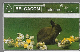 CARTE-HOLOGRAPHIQUE-BELGE-LAPIN-V°N°Endroit N°303H50450-Utilisé-TBE - Rabbits