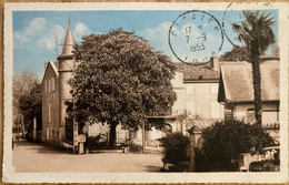 Cadalen - Avenue De Gaillac - Cadalen