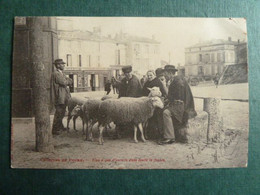 P1 - Croquis De Foire - Y'en A Pas D'pareils Dans Toute La Fouère - Moutons - Edition Tongimed Angoulême - Foires