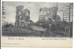 - 898 -  TONGRES  Ruines De L'ancien Chateau De Colmont - Tongeren