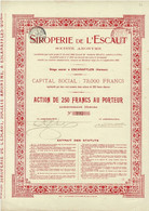 - Titre De 1905 - Siroperie De L'Escaut - Société Anonyme - Industrie