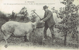 24 En Perigord Perigueux Groupe Sympathique Cherchant La Truffe - Périgueux