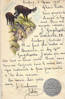 CPA 1905 - Chamois - Plentl Mary Mill Graz - Nr 206 - Envoyé A L'ecole Nationale Des Arts Industriels Roubaix - Sonstige