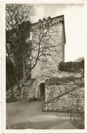 CPA, D.17 , Montendre , Tour Carrée De L'ancien Château , Ed. T.M. - Montendre