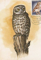 Luxembourg & Maximum Card, Galician Owl, Paintings By Alfredo Conceição 1986 (75) - Maximumkaarten