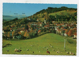 AK 056459 GERMANY - Oberstaufen - Oberstaufen