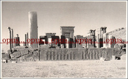 Real Photographic Postcard - 9x14 Cm | Iran, 1950/60 | Persepolis - Iran