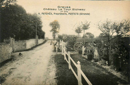 Portets * Vignoble Graves Vignes Château La Tour Bicheau , PEYCHES Propriétaire * Viticulteur Vin - Other & Unclassified