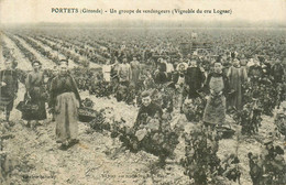 Portets * Un Groupe De Vendangeurs Dans Les Vignes * Vignoble Du Cru Lognac * Viticulture - Other & Unclassified