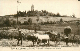 La Réole * Une Scène Champêtre Au Mirail * Attelage De Boeufs * Agriculture Agricole - Other & Unclassified