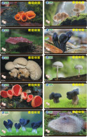 M06208 China Phone Cards Mushroom 100pcs - Fiori