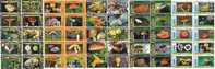 M06174 China Phone Cards Mushroom 50pcs - Fleurs