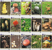 M06201 China Phone Cards Mushroom 125pcs - Fleurs