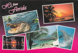 USA - Florida - Views - Dolphin - Alligator - 3x Nice Stamps - Orlando