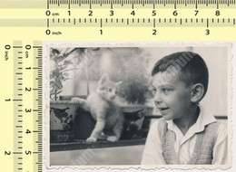 REAL PHOTO - Boy And Cat Garcon Et Chat, Vintage Snapshot - Anonyme Personen