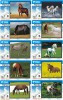 A02359 China Phone Cards Horse 20pcs - Cavalli