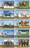 A02325 China Phone Cards Horse 20pcs - Pferde